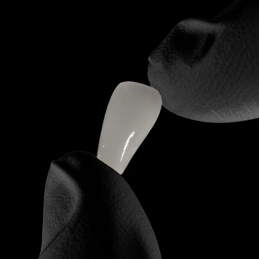 Lente porcelana unica instituto paskakulis e1754077256951